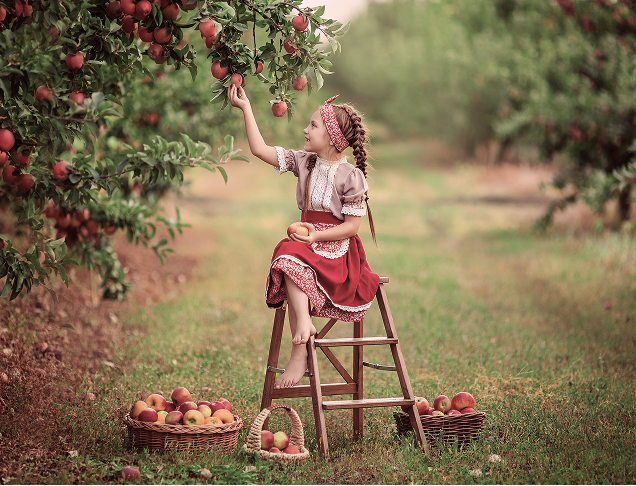 Farm lush with diverse fruits